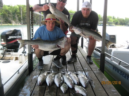 Nice Striped Bass